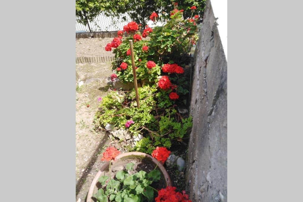 Apartamento Moneghetti Beausoleil Exterior foto